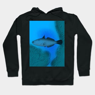 Balistomorphus ovalis Hoodie